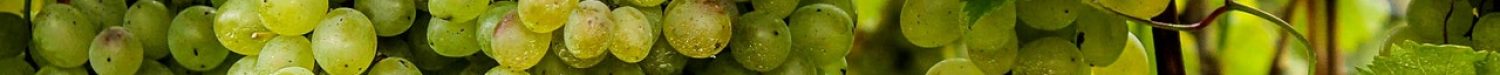 healthy-fruits-leaves-grapes-65872